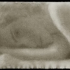2.Michal, 1992